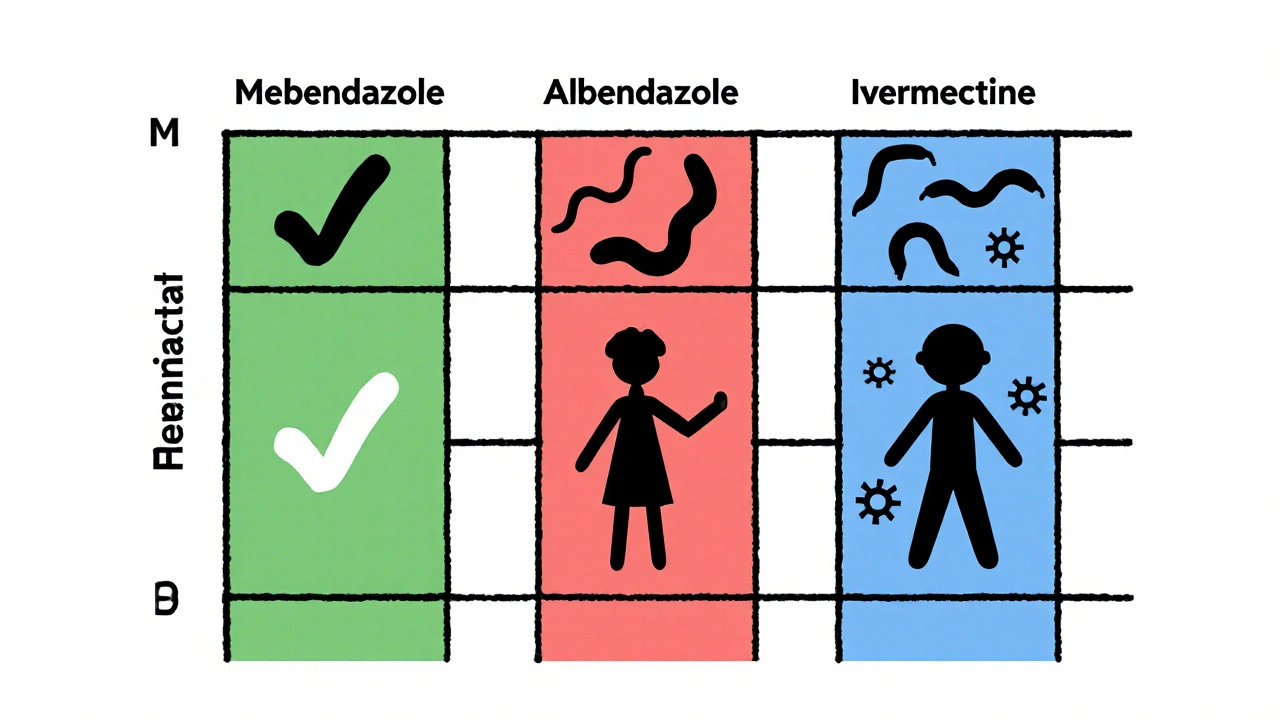 Grille abstraite en blocs colorés comparant trois médicaments antiparasitaires sans texte, dans le style De Stijl.