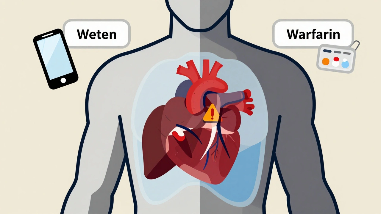 Silhouette humaine avec métabolisme médicamenteux représenté par des formes géométriques rouges et bleues dans la poitrine.