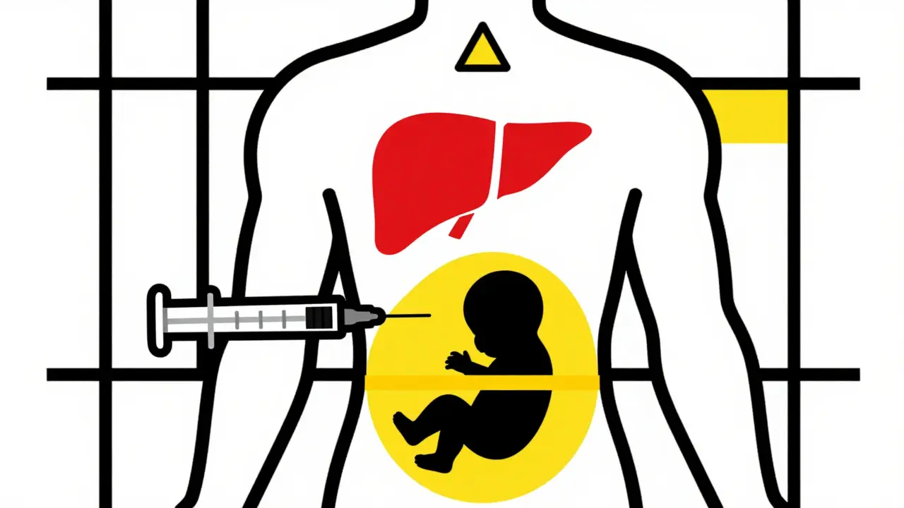 Injection de PTU avec foie et fœtus représentés en formes géométriques colorées.